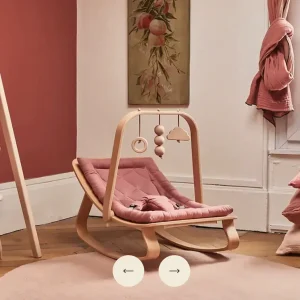 Transat LEVO Charlie Crane