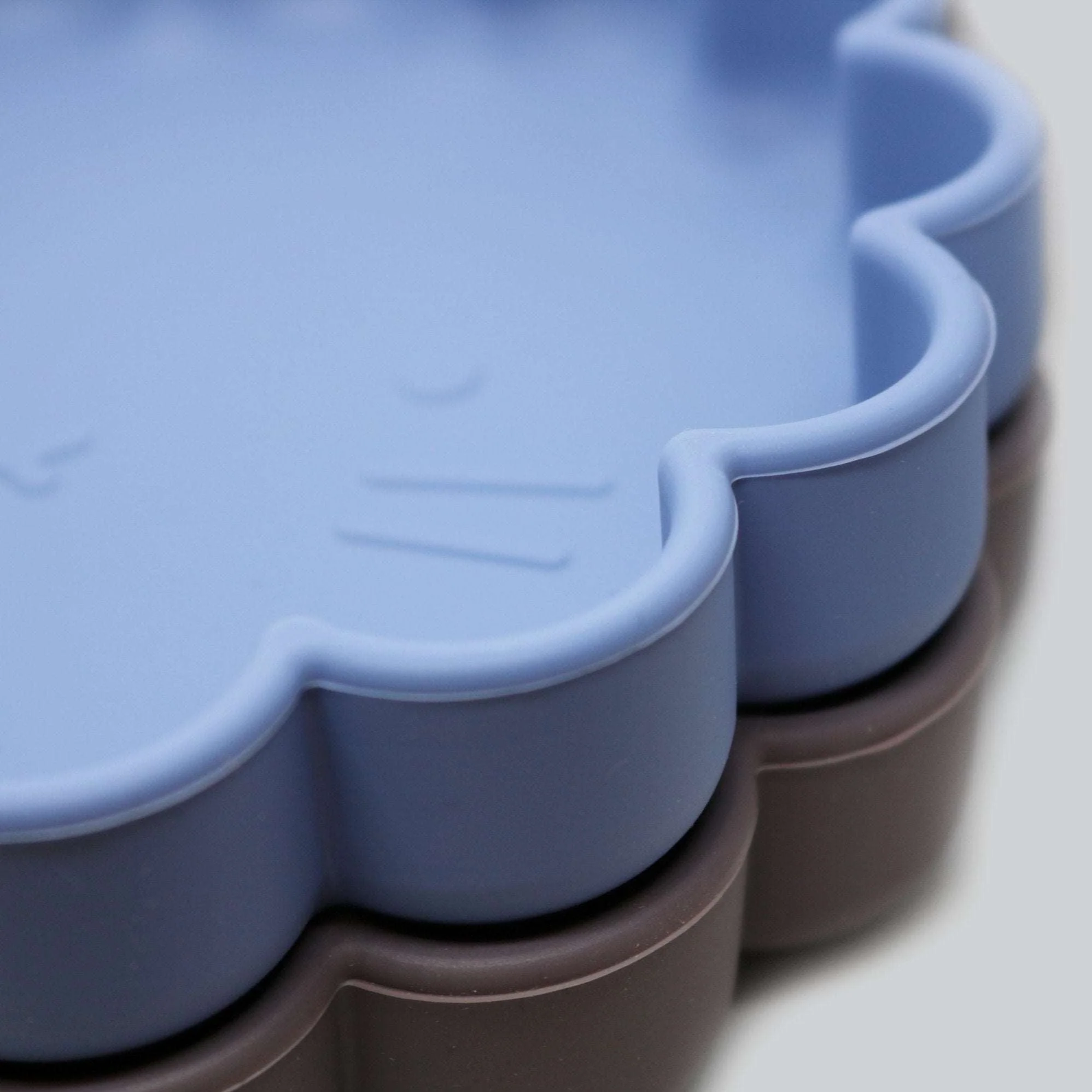 Assiette LION Sililion – Image 5