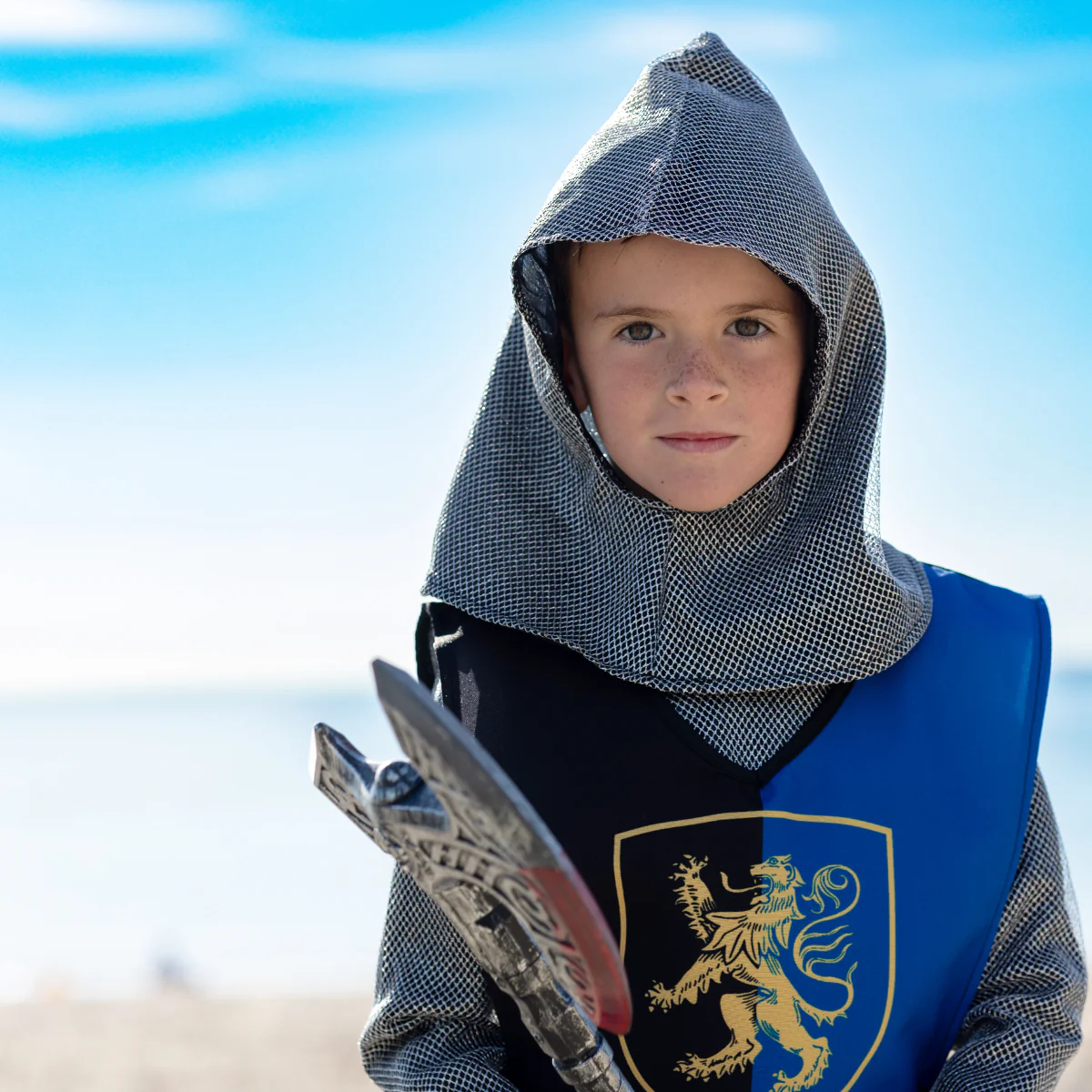 Déguisement Chevalier (3 à 10 ans) - Richard - Labay – Image 6